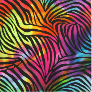 Zebra rainbow - badetøy